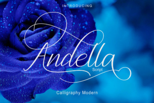 Andella Script: A Font That Elevates Your Brand’s Visual Story
