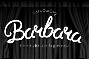 Barbara: A Script Handwritten Font for Digital Branding and Web Design