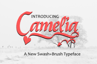 Camelia: A Script Handwritten Font for Dynamic Web Design