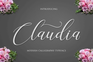 Claudia: The Font That Elevates Your Brand