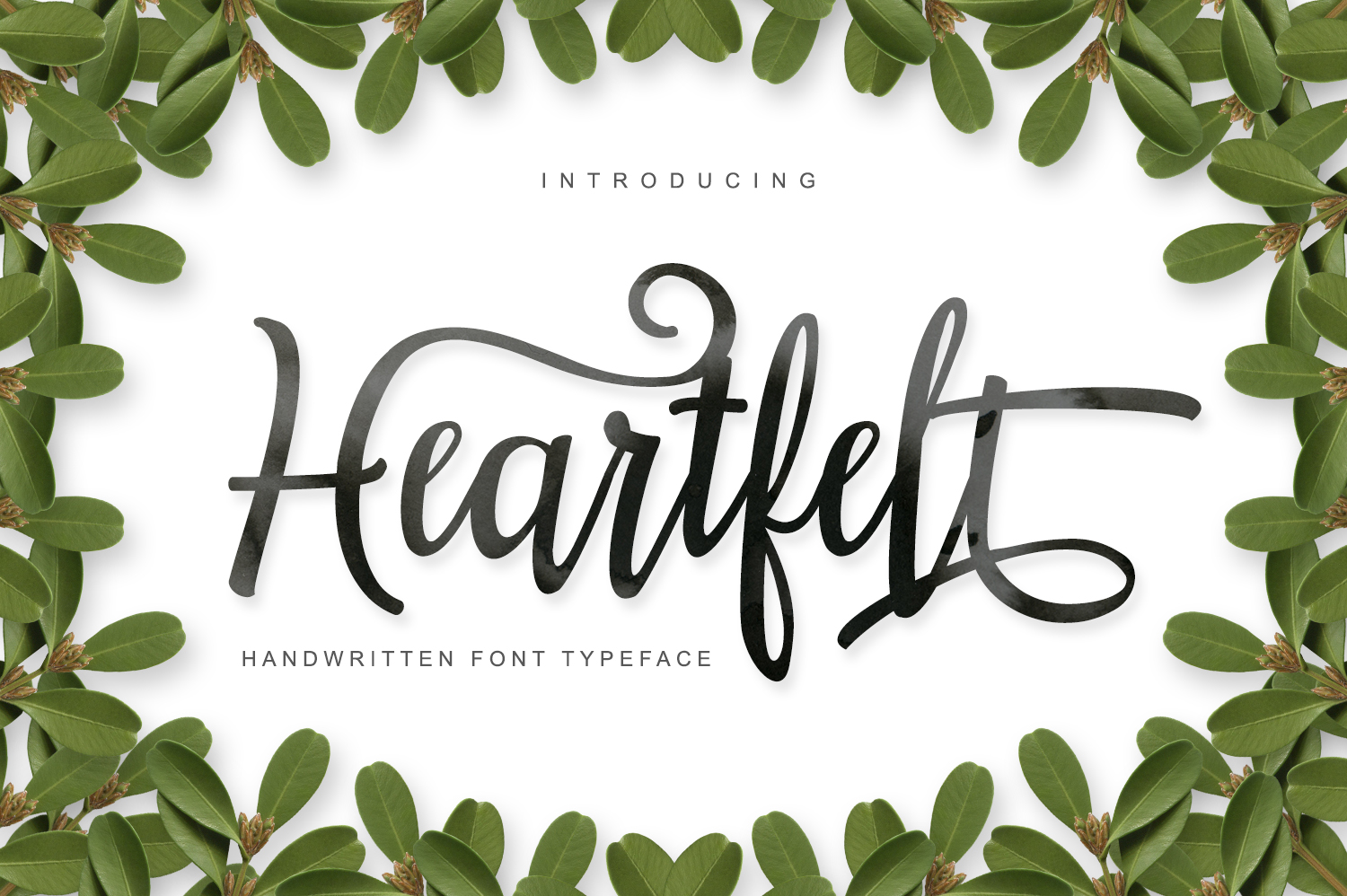 Heartfelt: The Font That Elevates Your Brand’s Personality